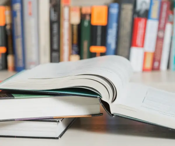 Schuldenberater, Schuldenberater – Raus aus der Schuldenfalle